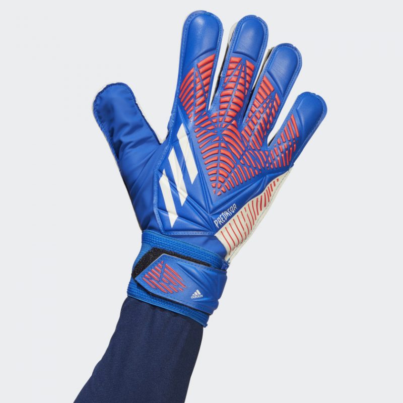 Adidas ถุงมือผู้รักษาประตู Predator Training Gloves | Hi-Res Blue/Turbo/White ( H43741 ) - Image 2