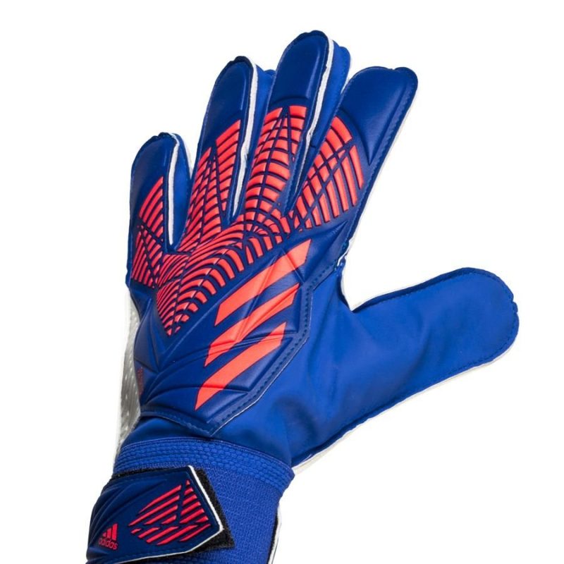 Adidas ถุงมือผู้รักษาประตู Predator Training Gloves | Hi-Res Blue/Turbo/White ( H43741 ) - Image 8