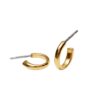 Baqless ต่างหู Emmbrace Sage Gold Hoop for pendant Earrings | Gold ( 93502P275Z-YG-CO )